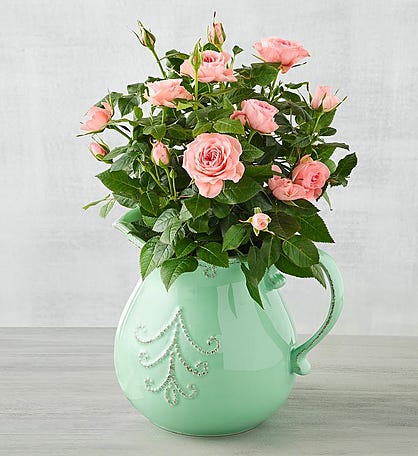 Roses in Pitcher 